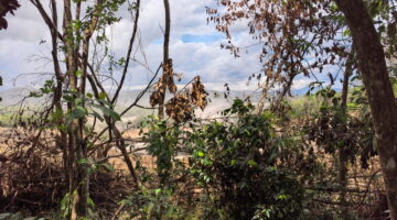 Bedah Dokumen: Operasional PT Antang Gunung Meratus di Lahan SHM Rakyat Diduga Tabrak UU Minerba dan KUHP