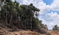 berita-pilihan-foto